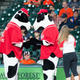 Two Chick-Fil-A cows huddle closely at a baseball game
